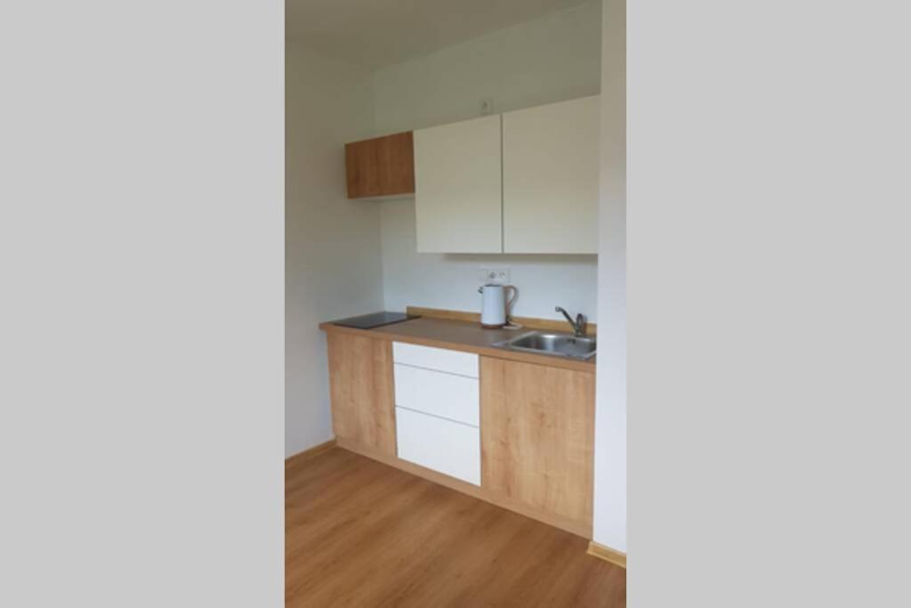 Apartman Jakub Sklar Železná Ruda Exteriör bild